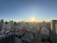 Luxe Miami Apartment, Great Views, Downtown Oasis with Premium Amenities