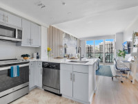 Great Studio at Hotel Arya, Coconut Grove, Miami