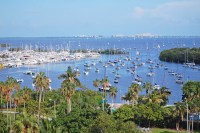 Luxury Studio at Hotel Arya, Coconut Grove, Miami