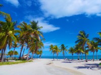 Luxury Studio at Hotel Arya, Coconut Grove, Miami